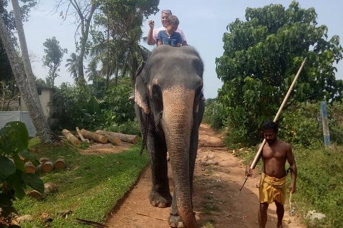 Shore Excursion From Colombo port to Ingiriya Tea Plantation & back for 2 People - FAQ: Your Questions Answered