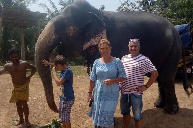 Shore Excursion From Colombo port to Ingiriya Tea Plantation & back for 2 People - Final Note