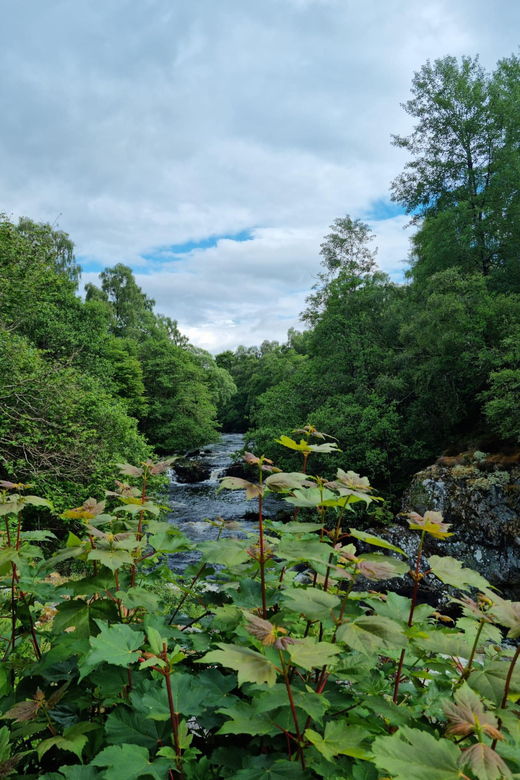 shore-excursion-from-invergordon-castles-scenery-whisky