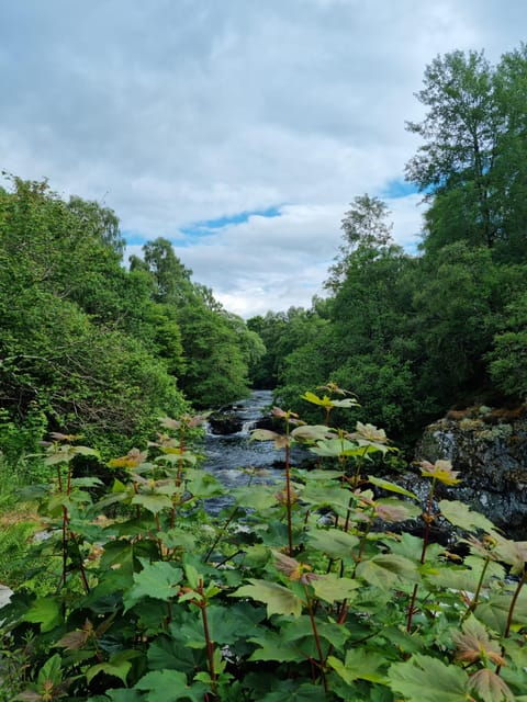 shore-excursion-from-invergordon-castles-scenery-whisky
