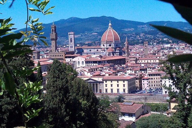 shore-excursion-from-livorno-private-florence-tour-with-michelangelos-david