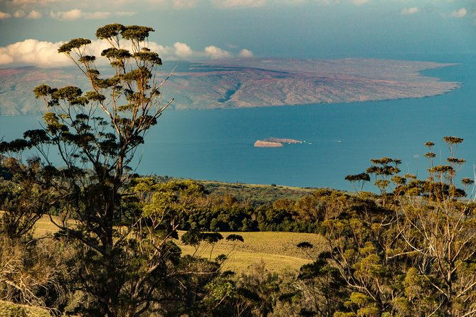 shore-excursion-haleakala-sunrise-tour-for-pride-of-america-passengers