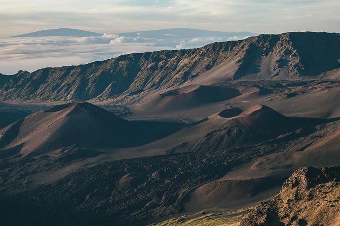 shore-excursion-haleakala-sunrise-tour-for-pride-of-america-passengers