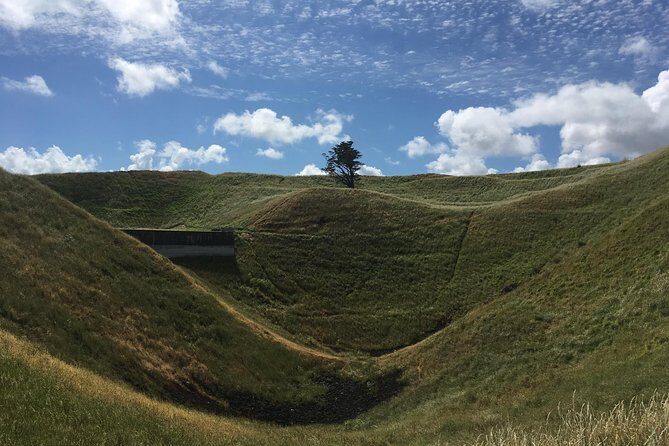 Shore Excursion: Half-Day Auckland Volcanoes Tour - A Closer Look at the Auckland Volcanoes Tour