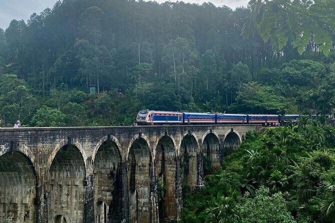 Shore Excursion Hambantota Port to Ella Day Tour (All Inclusive) - Key Points