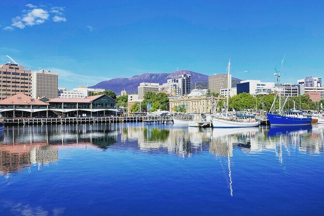 Shore Excursion: Hobart Highlights Day Tour - Who Would Love This Tour?