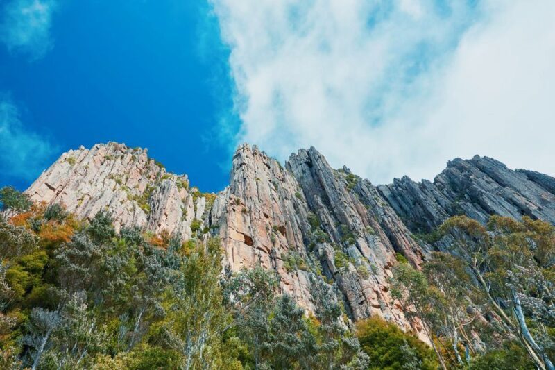 Shore Excursion: Hobart Wanderer - Exploring the Itinerary in Detail