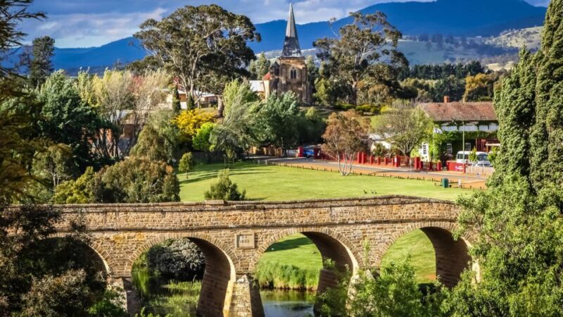 Shore Excursion: Hobart Wanderer - Who Is This Tour Best For?