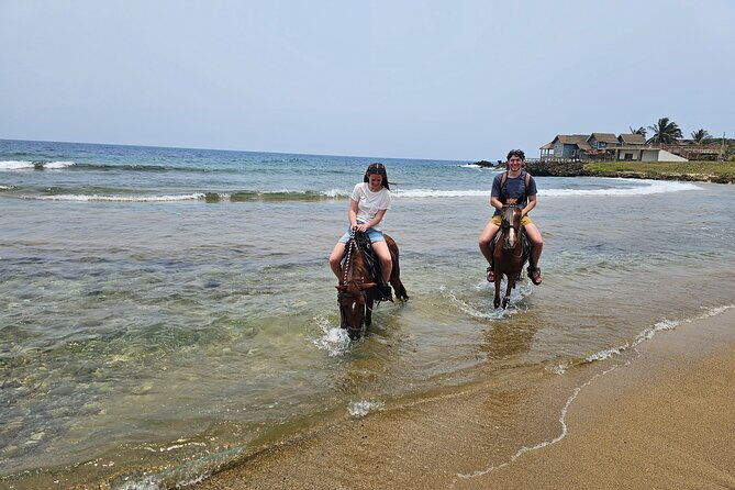 shore-excursion-horseback-ride-zip-line-wildlife-and-snorkel