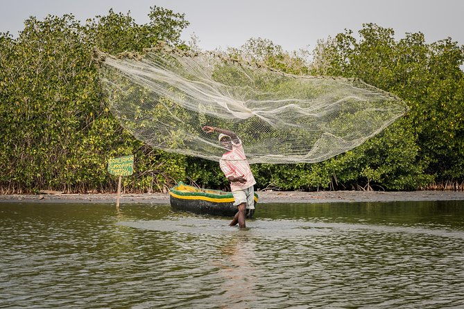 shore-excursion-mangroves-tour