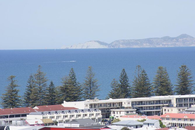 Shore Excursion: Napier and Surrounding Countryside Scenic Tour - The Sum Up: Who Would Love This Tour?