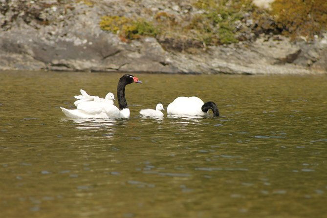 shore-excursion-national-park-tierra-del-fuego