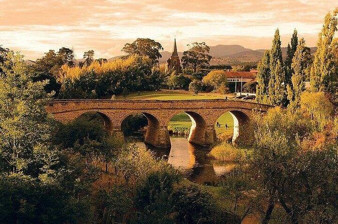 Shore Excursion - nipaluna (Hobart) Highlights - The Sum Up