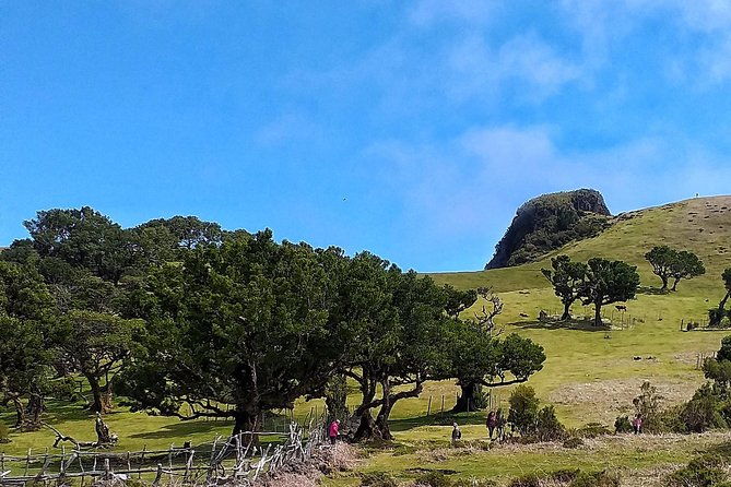 shore-excursion-northwest-terraces-and-volcanic-pools-4x4-tour