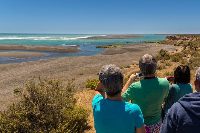 shore-excursion-peninsula-valdes-cruise-passengers-puerto-madryn