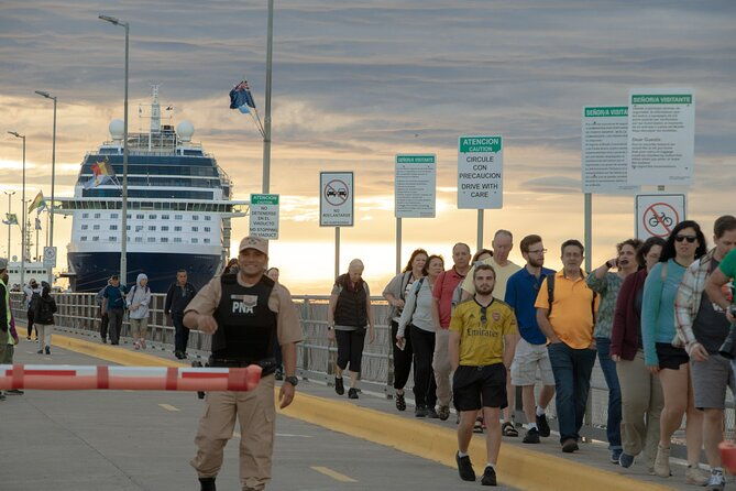 shore-excursion-peninsula-valdes-cruise-passengers-puerto-madryn