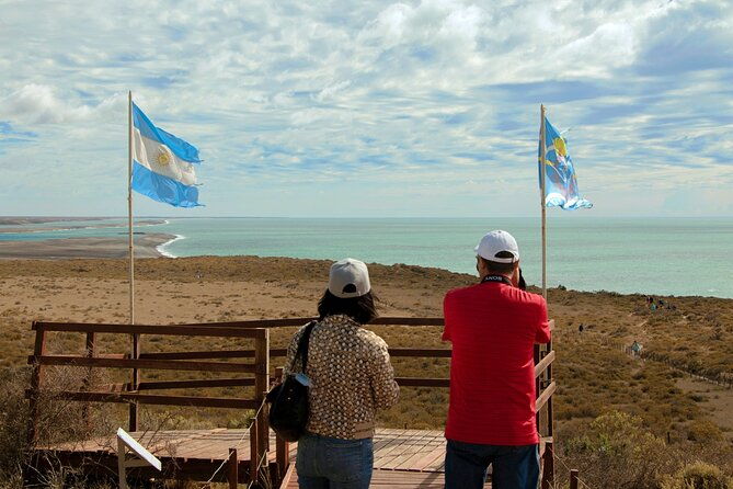shore-excursion-peninsula-valdes-cruise-passengers-puerto-madryn