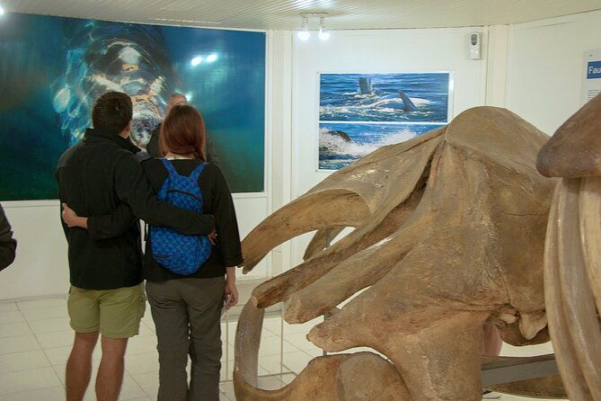 shore-excursion-peninsula-valdes-cruise-passengers-puerto-madryn