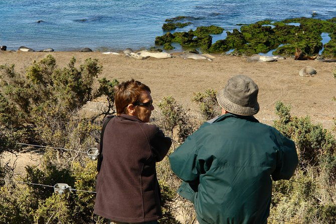shore-excursion-peninsula-valdes-cruise-passengers-puerto-madryn