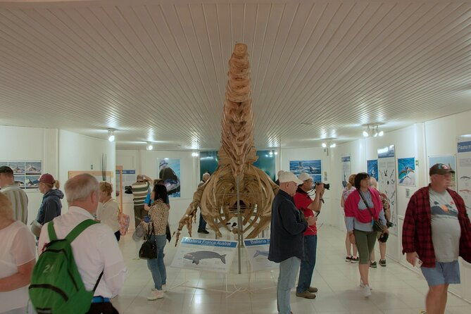 shore-excursion-peninsula-valdes-cruise-passengers-puerto-madryn