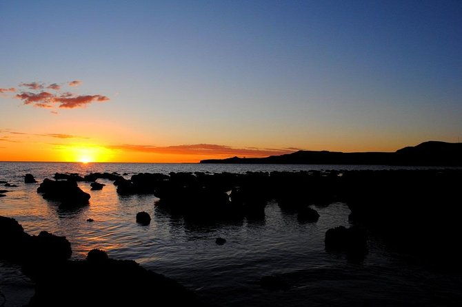 shore-excursion-peninsula-valdes-or-punta-tombo-private-car