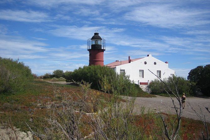 shore-excursion-private-day-trip-to-peninsula-valdes-from-puerto-madryn