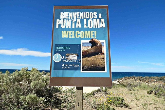 shore-excursion-punta-loma-sea-lions-reserve-including-puerto-madryn-city-tour