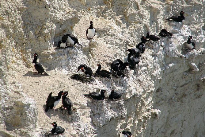 shore-excursion-punta-loma-sea-lions-reserve-including-puerto-madryn-city-tour