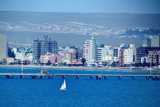 shore-excursion-punta-loma-sea-lions-reserve-including-puerto-madryn-city-tour