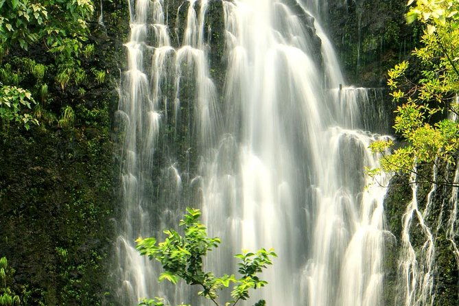 shore-excursion-road-to-hana-tour-for-pride-of-america-passengers