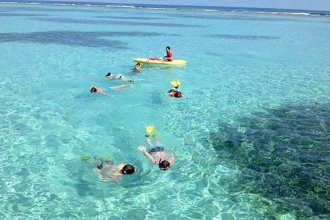 shore-excursion-roatan-west-bay-beach-and-reef-snorkel-by-boat