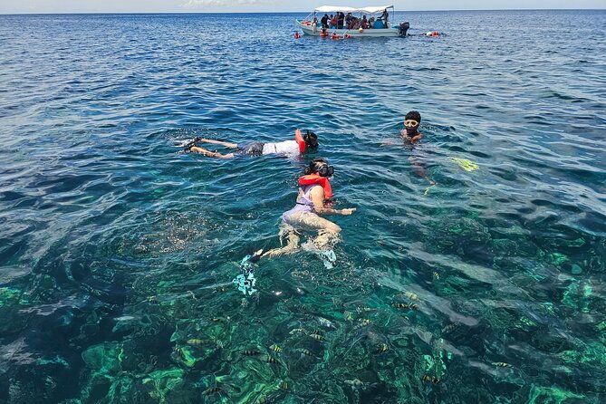 shore-excursion-roatan-west-bay-beach-and-reef-snorkel-by-boat
