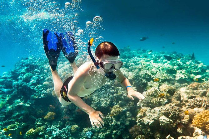 shore-excursion-roatan-west-bay-beach-and-reef-snorkel-by-boat