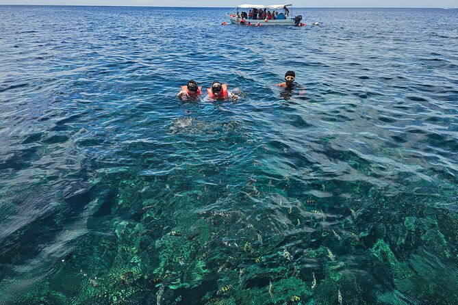 shore-excursion-roatan-west-bay-beach-and-reef-snorkel-by-boat