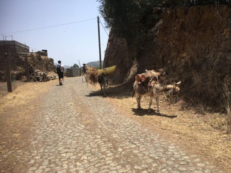 Shore Excursion, Santo Antão, Full Day, Highlights by car - Key Points