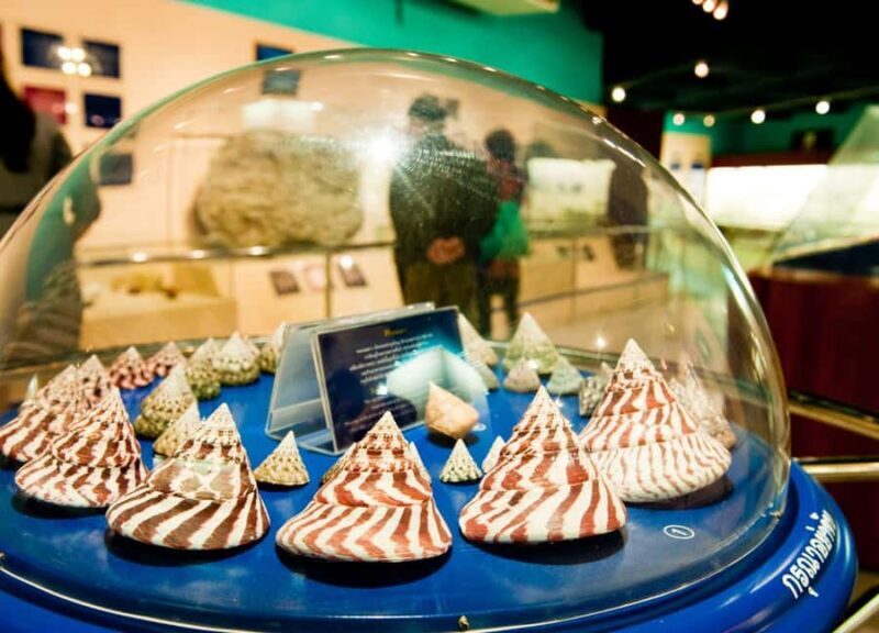 Shore Excursion - Small Group Tour Best of Phuket Highlights - Why Consider This Tour?