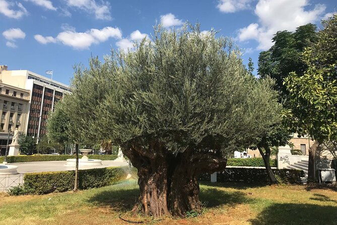 shore-excursion-to-athens-monuments-with-street-food-by-electric-bike