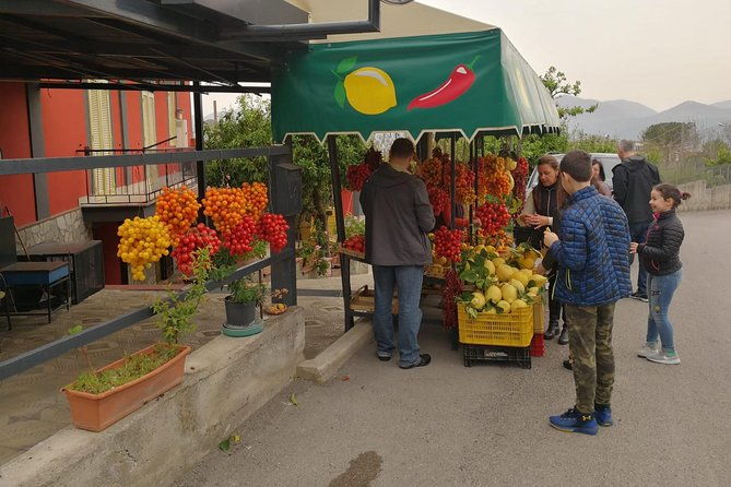 shore-excursion-with-wine-food-tasting-at-cantina-del-vesuvio-winery