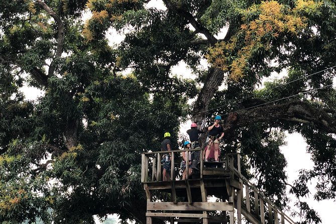 shore-excursion-zip-line-adventure