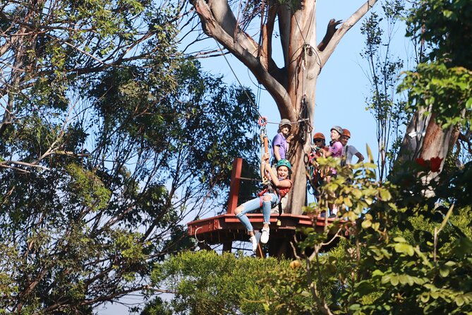 shore-excursion-zipline-tour-for-pride-of-america-passengers