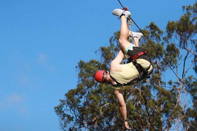 shore-excursion-zipline-tour-for-pride-of-america-passengers