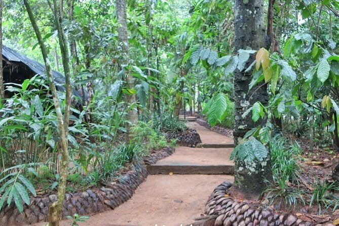 Shore Excursions Colombo Port Passenger Terminal to Kandy By Car. - Key Points