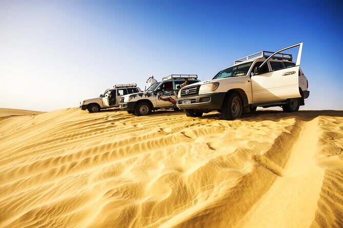Shore Excursions of Dubai City Tour followed by Desert Safari - Final Thoughts