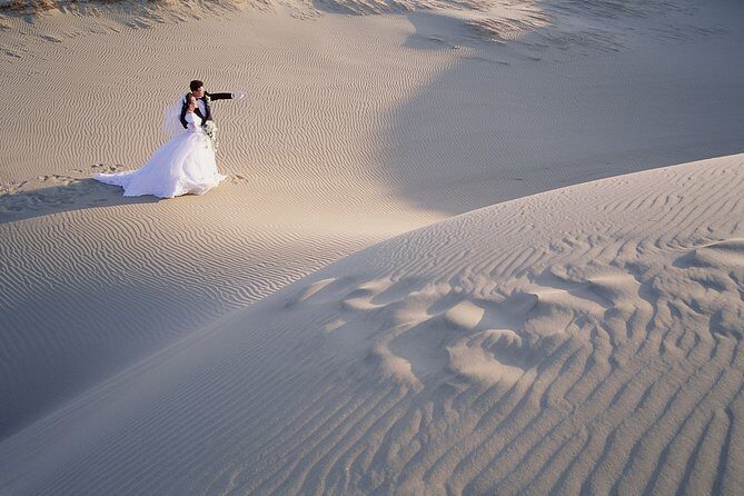 Shore Excursions of Dubai City Tour followed by Desert Safari - FAQ