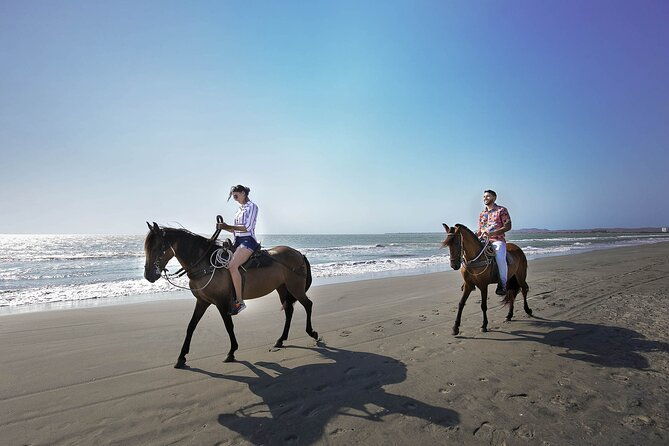 shore-mangrove-tour-lunch-horse-riding-fishing-classes