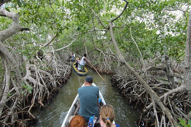 shore-mangrove-tour-lunch-horse-riding-fishing-classes