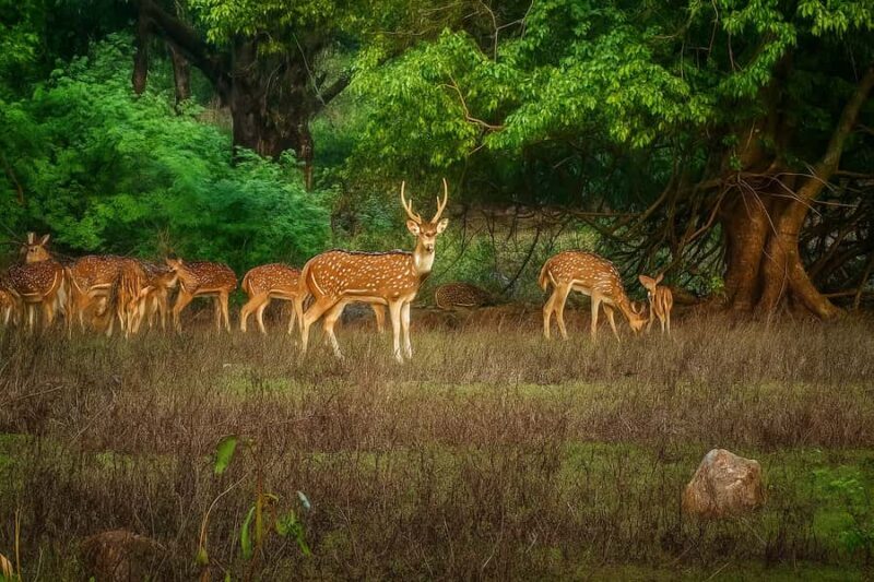 Shore Mumbai : 1 or 2 Days Customizable Private Experience - Final Thoughts