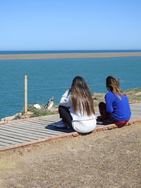 Shore Tours Peninsula Valdes Puerto Madryn Cruise Passengers - The Sum Up