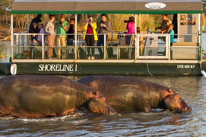 Shoreline Hippo and Crocodile Boat Cruises, iSimangaliso Wetland Park - Exploring Lake St Lucia: A Genuine Wildlife Experience