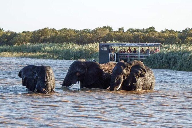 Shoreline Hippo and Crocodile Boat Cruises, iSimangaliso Wetland Park - FAQ